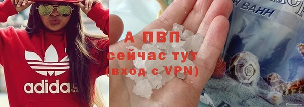 СК Надым