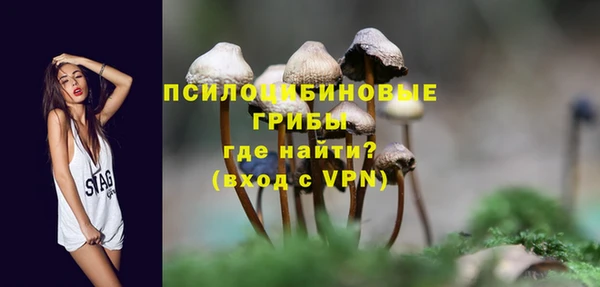 СК Надым